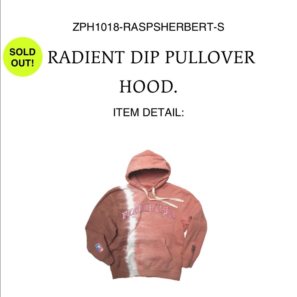 Flatbush Zombies Radient Dip Pullover Hoodie